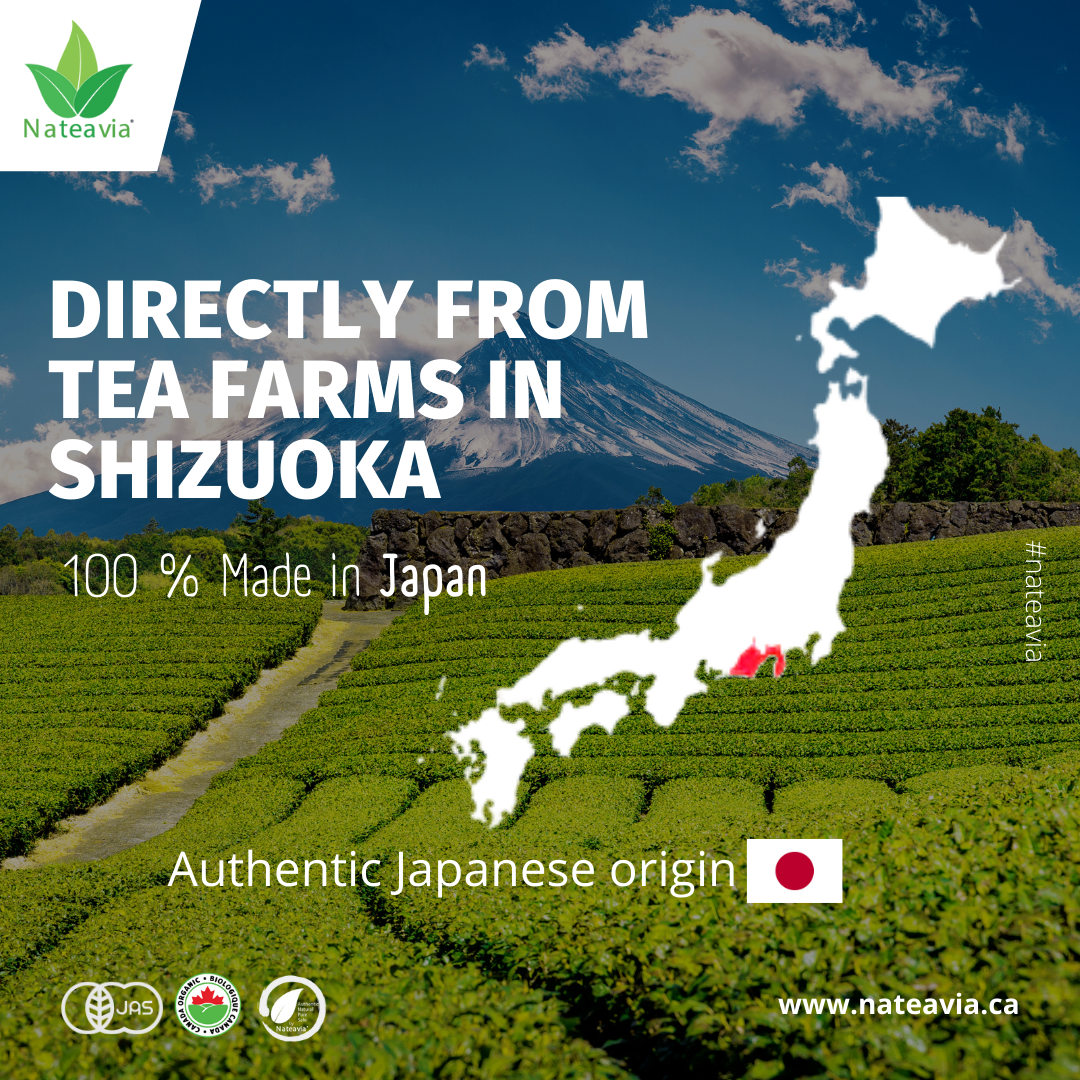Nateavia Benifuuki - Té negro japonés orgánico de primera calidad en hojas sueltas - Sabor suave y ligero - Origen japonés auténtico, de Shizuoka - 50 g
