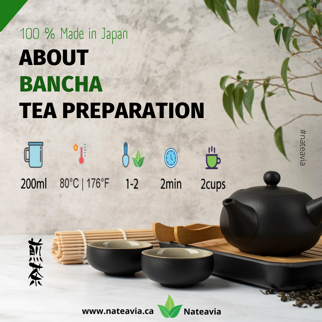 Thé Bancha japonais bio – Thé vert en vrac de Kagoshima | Deuxième récolte, goût léger, faible en caféine, 100 g – Nateavia