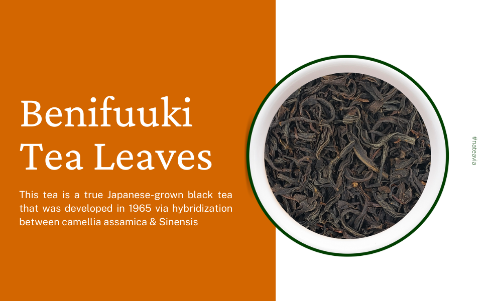 Nateavia Benifuuki - Té negro japonés orgánico de primera calidad en hojas sueltas - Sabor suave y ligero - Origen japonés auténtico, de Shizuoka - 50 g