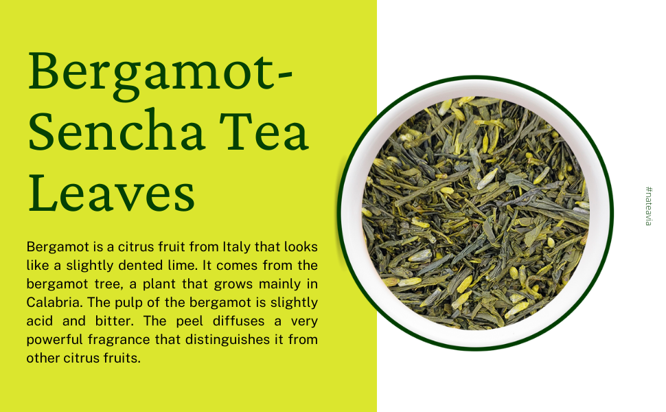 Nateavia Sencha à la bergamote - Thé vert japonais en feuilles bio à la bergamote - First Flush - Origine japonaise authentique, de Shizuoka - 50g
