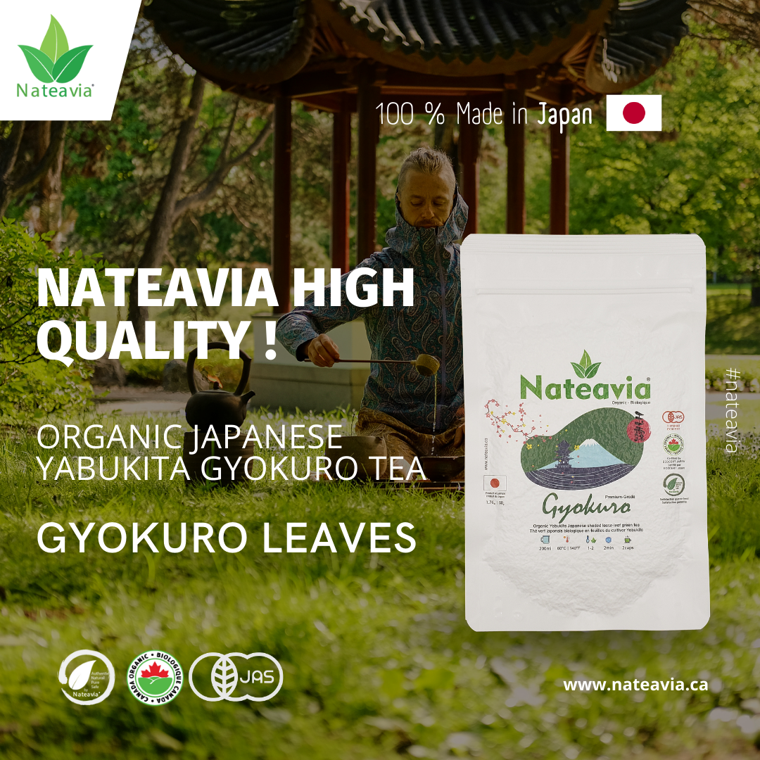 Thé Gyokuro japonais bio – Thé vert en vrac de Shizuoka | Cultivar Yabukita, goût onctueux, qualité supérieure, 50 g – Nateavia