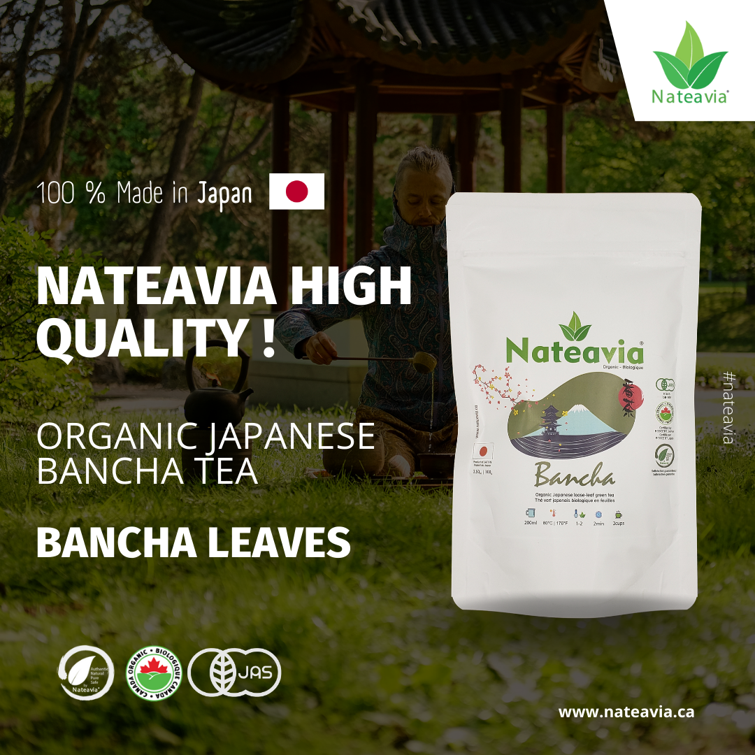 Thé Bancha japonais bio – Thé vert en vrac de Kagoshima | Deuxième récolte, goût léger, faible en caféine, 100 g – Nateavia