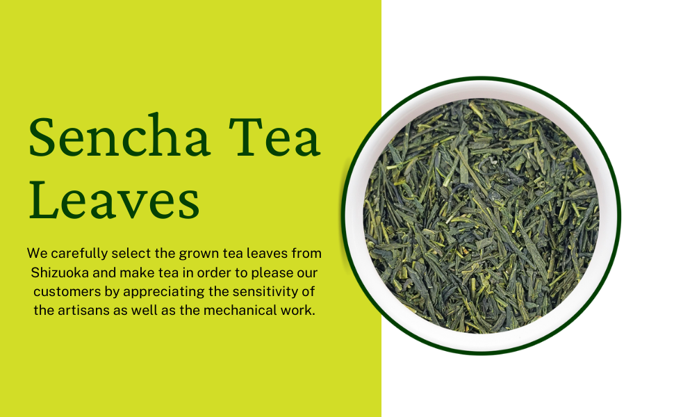 Thé vert Sencha japonais bio – Feuilles en vrac, première récolte de Shizuoka | Cultivar Yabukita, frais et vibrant, 1 kg – Nateavia