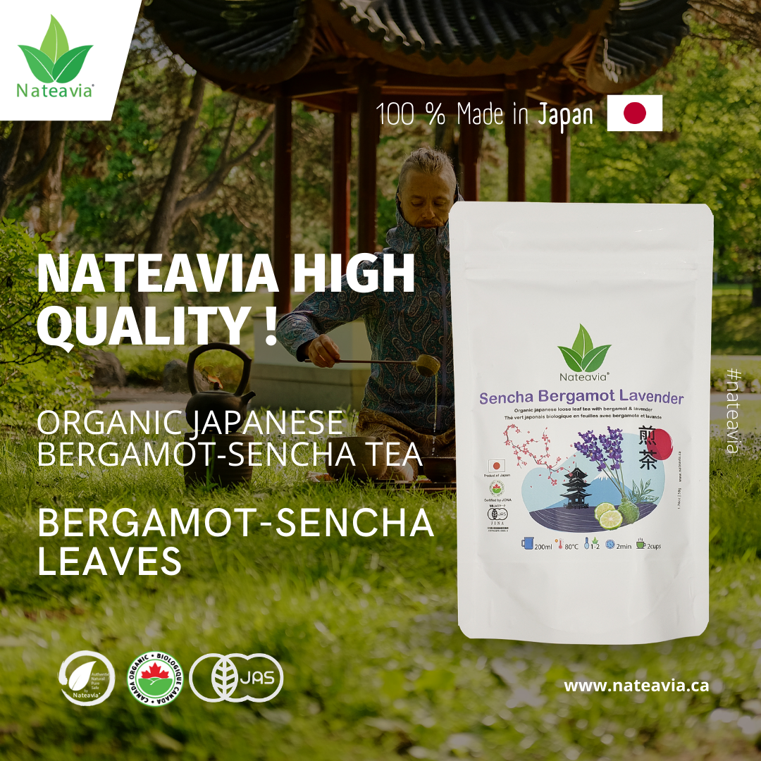 Nateavia Sencha à la bergamote - Thé vert japonais en feuilles bio à la bergamote - First Flush - Origine japonaise authentique, de Shizuoka - 50g
