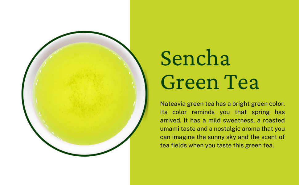 Organic Japanese Sencha Green Tea, Yabukita Cultivar, Loose Leaf First Flush from Shizuoka, Fresh & Vibrant, 80g Nateavia
