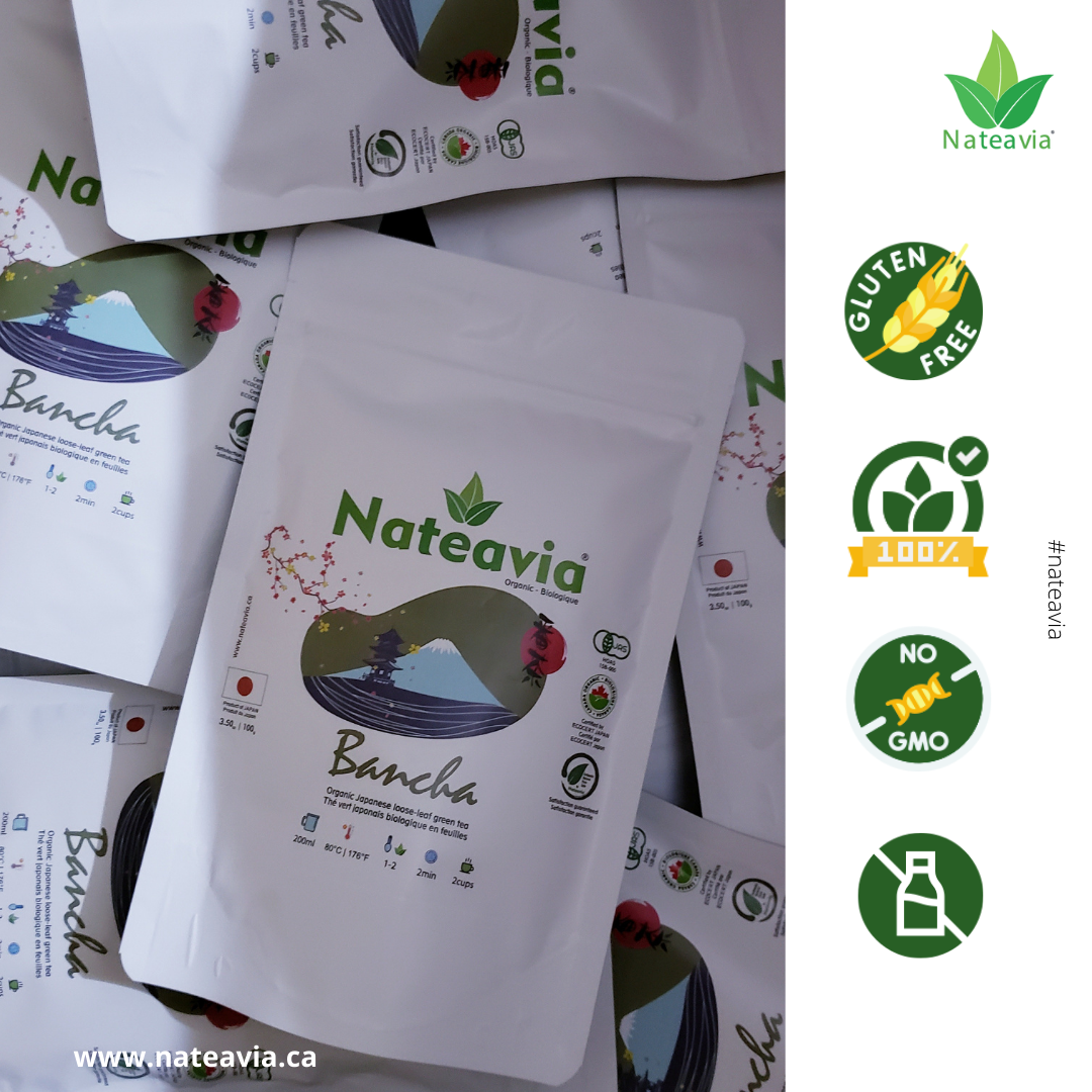 Thé Bancha japonais bio – Thé vert en vrac de Kagoshima | Deuxième récolte, goût léger, faible en caféine, 100 g – Nateavia