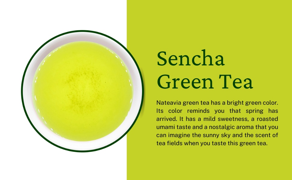Thé vert Sencha japonais bio – Feuilles en vrac, première récolte de Shizuoka | Cultivar Yabukita, frais et vibrant, 1 kg – Nateavia