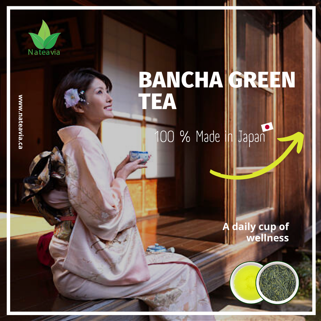 Thé Bancha japonais bio – Thé vert en vrac de Kagoshima | Deuxième récolte, goût léger, faible en caféine, 100 g – Nateavia
