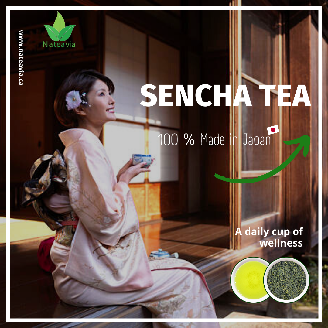 Organic Japanese Sencha Green Tea, Yabukita Cultivar, Loose Leaf First Flush from Shizuoka, Fresh & Vibrant, 80g Nateavia