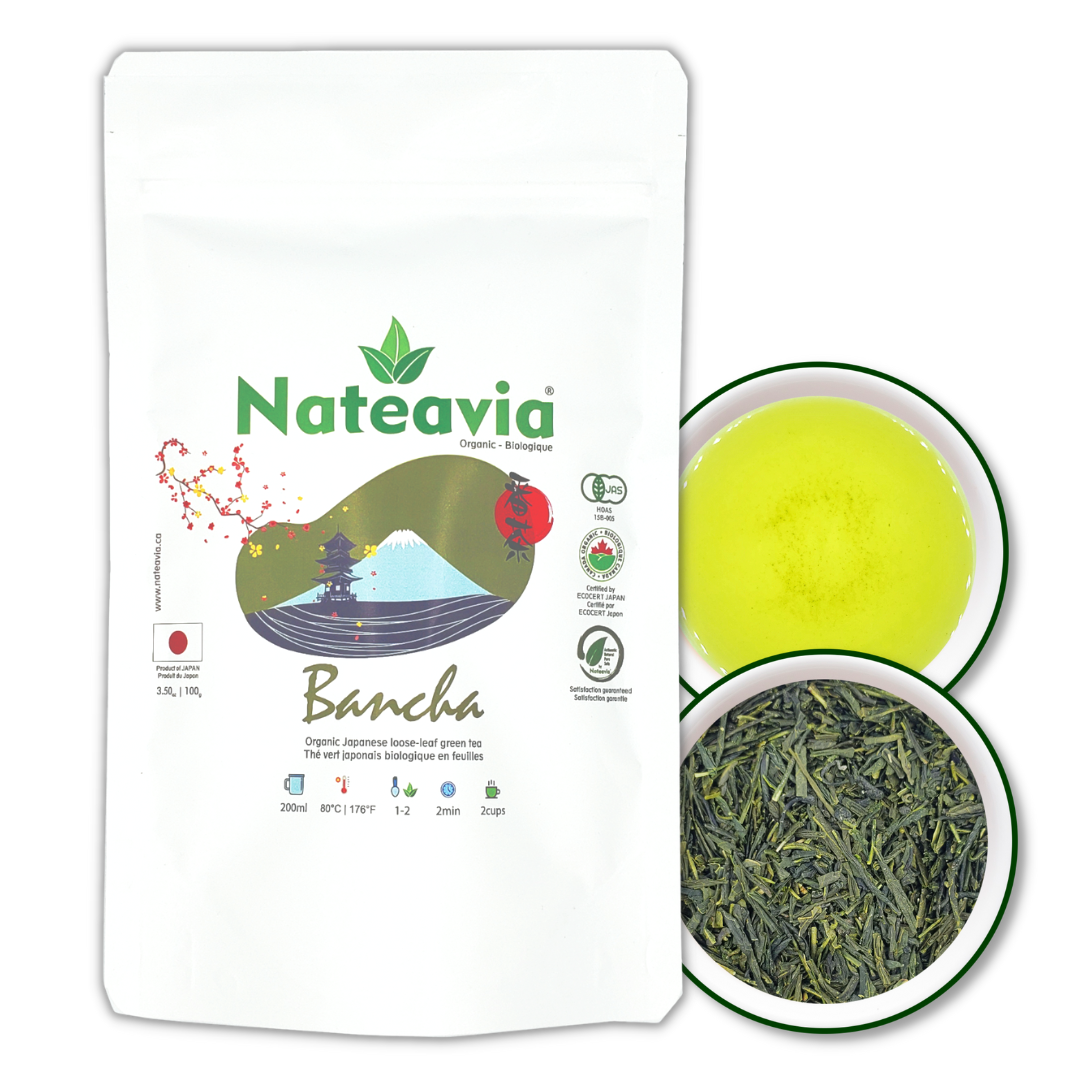 Thé Bancha japonais bio – Thé vert en vrac de Kagoshima | Deuxième récolte, goût léger, faible en caféine, 100 g – Nateavia
