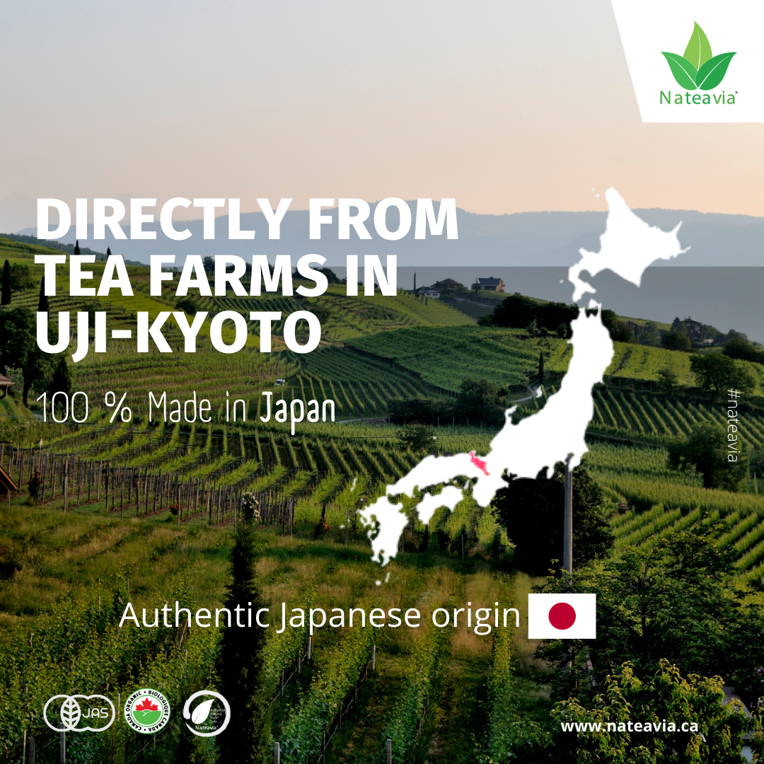 Poudre de matcha biologique japonaise – Qualité supérieure, finement moulue, onctueuse et riche en umami | Origine Uji Kyoto, 50 g – Nateavia