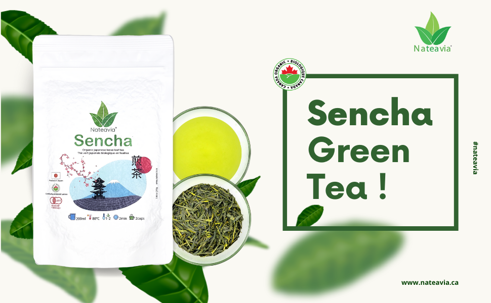 Nateavia Sencha Yabukita - Organic Japanese Loose Leaf Green Tea - First Flush - Authentic Japanese Origin, from Shizuoka - 80g