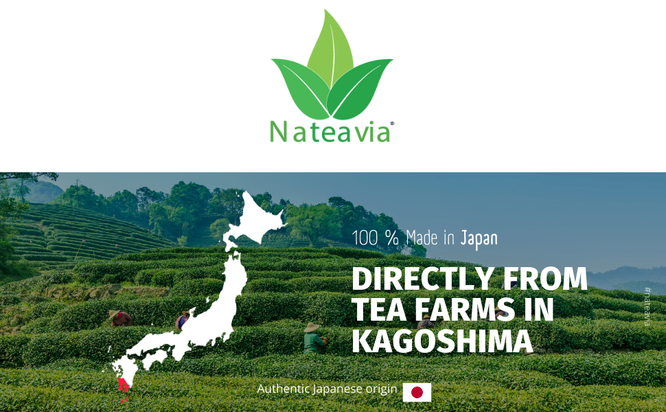 Nateavia Bancha - Organic  Japanese Loose Leaf Green Tea - Light Taste - Authentic Japanese Origin, from Kagoshima - 1Kg
