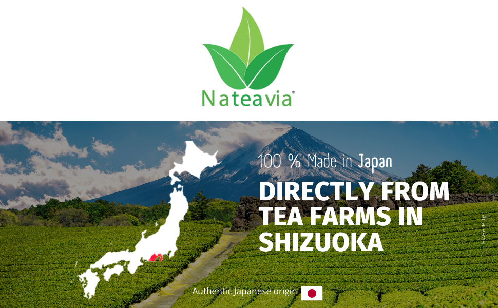 Nateavia Sencha Yabukita - Organic Japanese Loose Leaf Green Tea - First Flush - Authentic Japanese Origin, from Shizuoka - 80g
