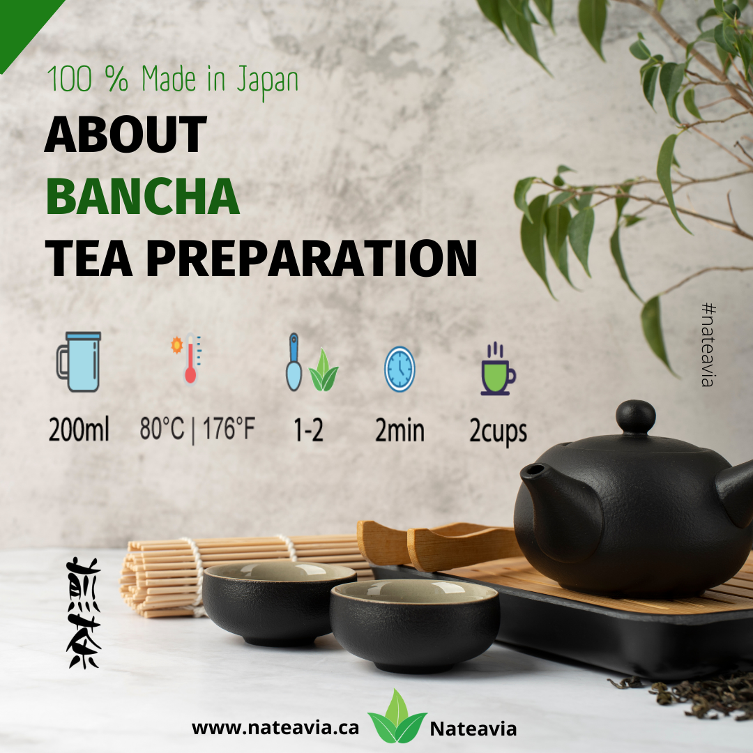 Nateavia Bancha - Organic  Japanese Loose Leaf Green Tea - Light Taste - Authentic Japanese Origin, from Kagoshima - 100g