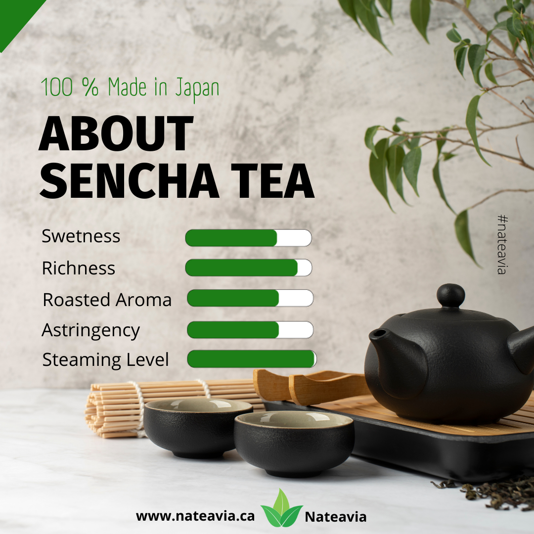 Nateavia Sencha Yabukita - Organic Japanese Loose Leaf Green Tea - First Flush - Authentic Japanese Origin, from Shizuoka - 80g