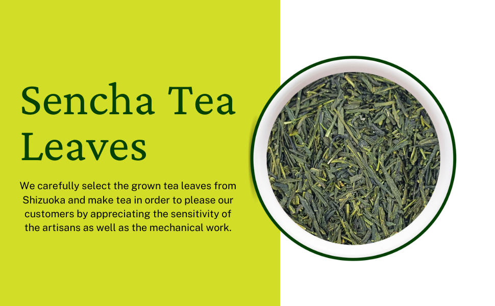 Nateavia Sencha Yabukita - Organic Japanese Loose Leaf Green Tea - First Flush - Authentic Japanese Origin, from Shizuoka - 80g