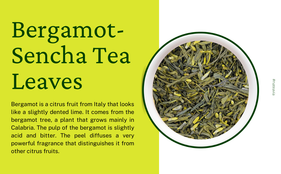 Nateavia Sencha with Bergamot - Organic Japanese Loose Leaf Green Tea with Bergamot - First Flush - Authentic Japanese Origin, from Shizuoka - 50g