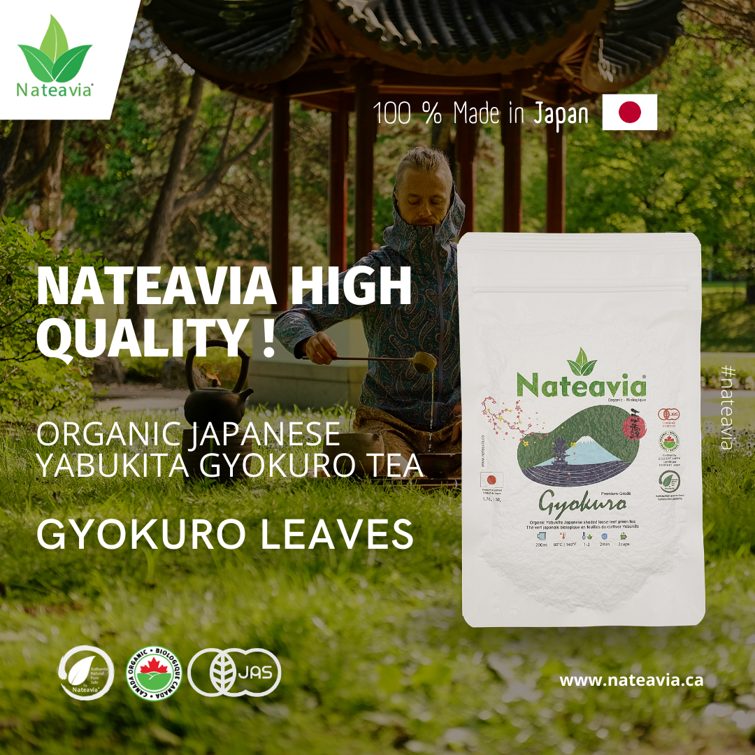 Nateavia Gyokuro Yabukita - Premium Organic Japanese Loose Leaf Green Tea - Smooth, Mild - Authentic Japanese Origin, from Shizuoka  - 50g