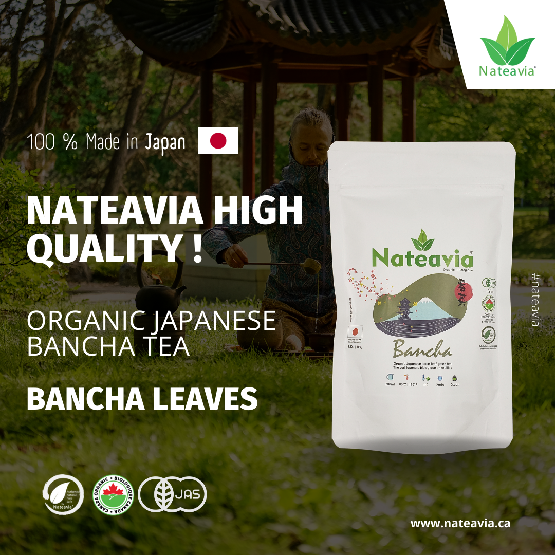 Nateavia Bancha - Organic  Japanese Loose Leaf Green Tea - Light Taste - Authentic Japanese Origin, from Kagoshima - 100g