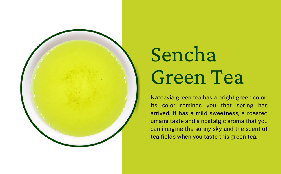 Nateavia Sencha Yabukita - Organic Japanese Loose Leaf Green Tea - First Flush - Authentic Japanese Origin, from Shizuoka - 80g