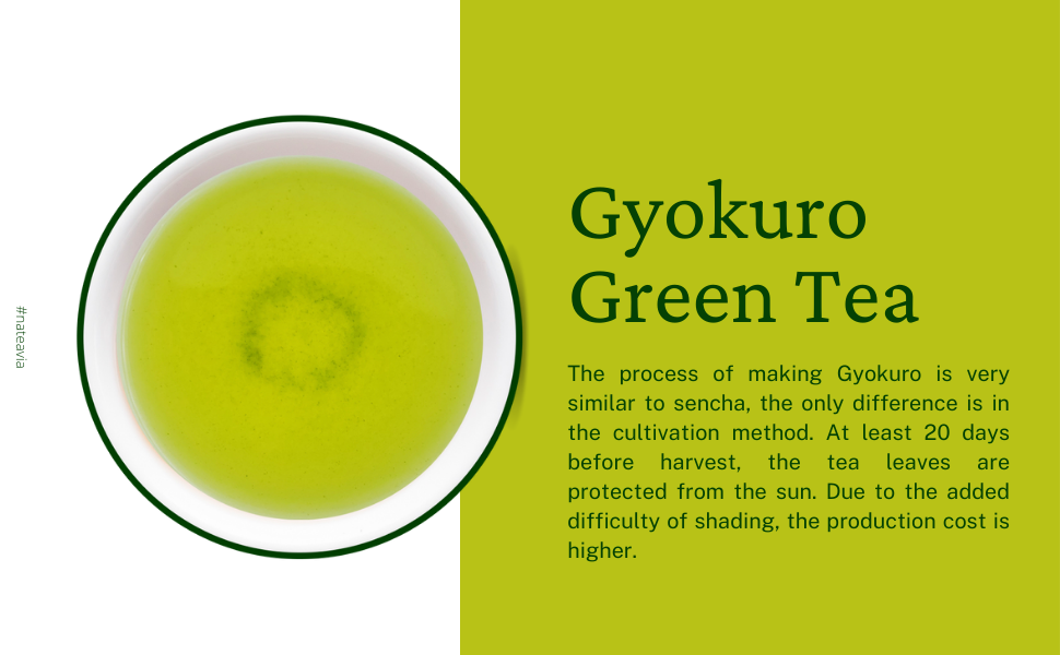 Nateavia Gyokuro Yabukita - Premium Organic Japanese Loose Leaf Green Tea - Smooth, Mild - Authentic Japanese Origin, from Shizuoka  - 50g