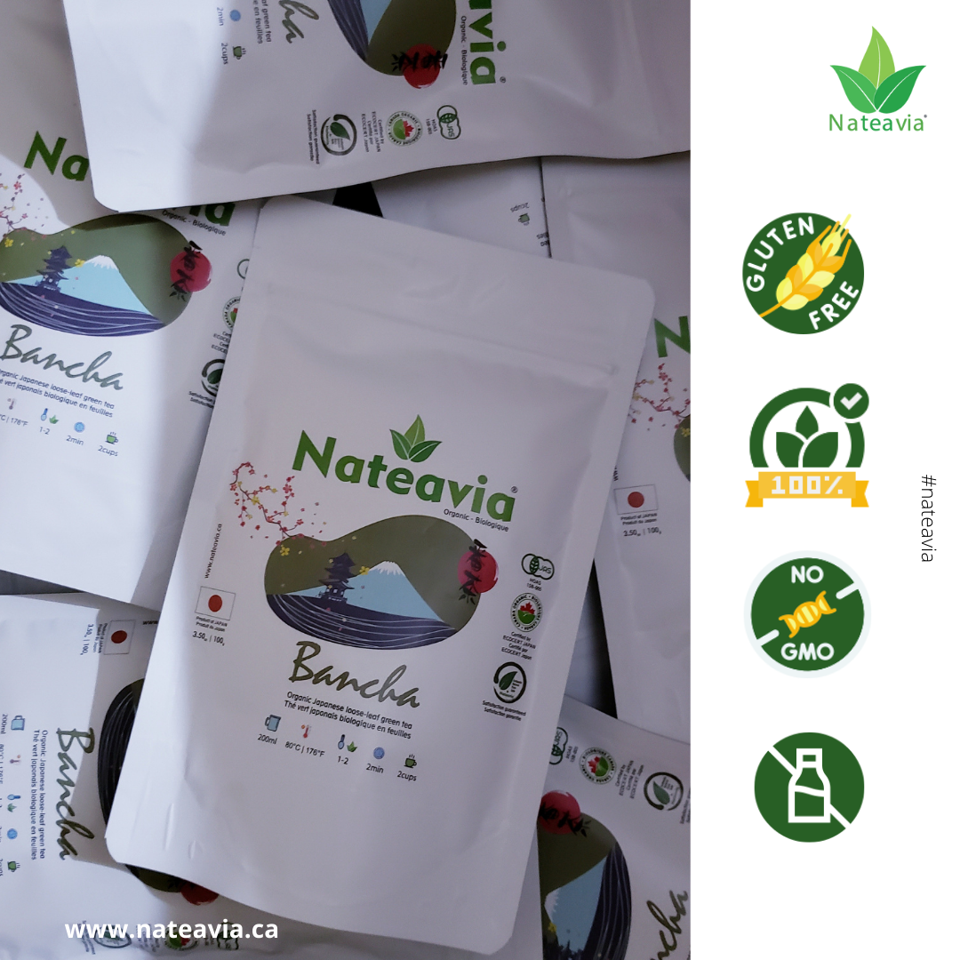 Nateavia Bancha - Organic  Japanese Loose Leaf Green Tea - Light Taste - Authentic Japanese Origin, from Kagoshima - 100g