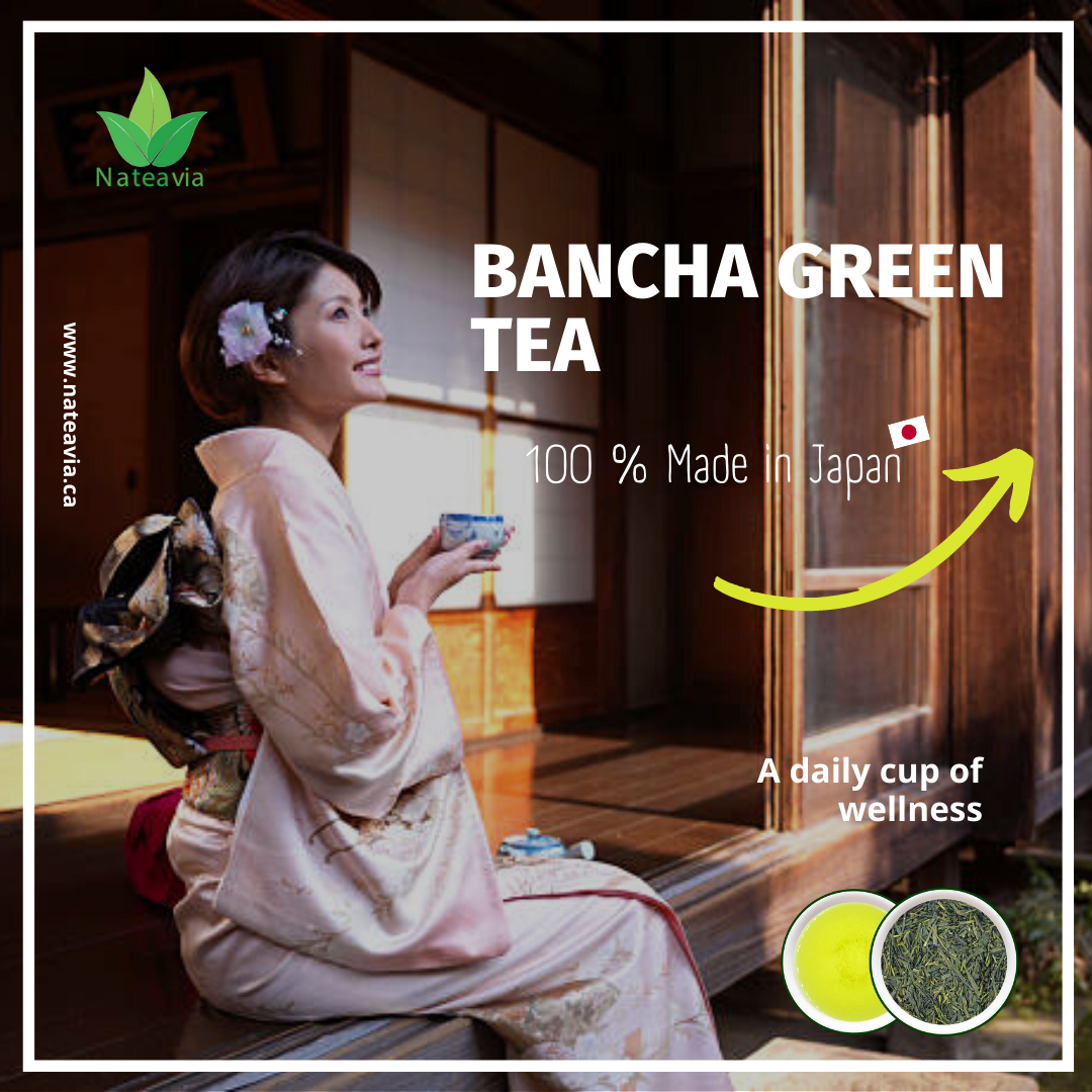 Nateavia Bancha - Organic  Japanese Loose Leaf Green Tea - Light Taste - Authentic Japanese Origin, from Kagoshima - 100g