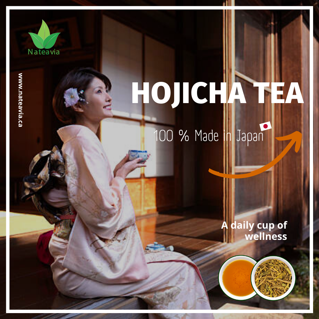 Nateavia Houjicha - Premium Organic Japanese Gold Roast Green Tea - Low-Caffeine - Authentic Japanese Origin, from Shizuoka - 80g