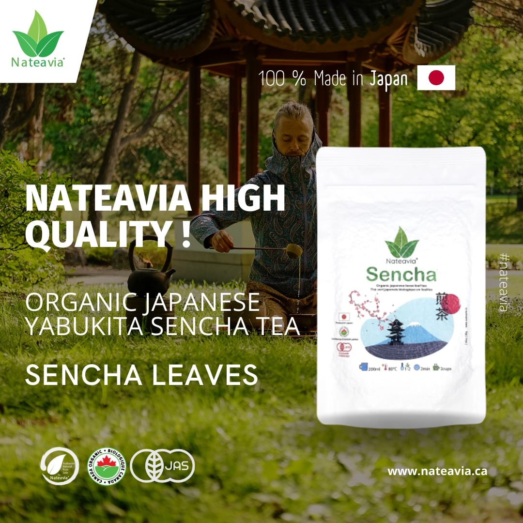 Nateavia Sencha Yabukita - Organic Japanese Loose Leaf Green Tea - First Flush - Authentic Japanese Origin, from Shizuoka - 80g