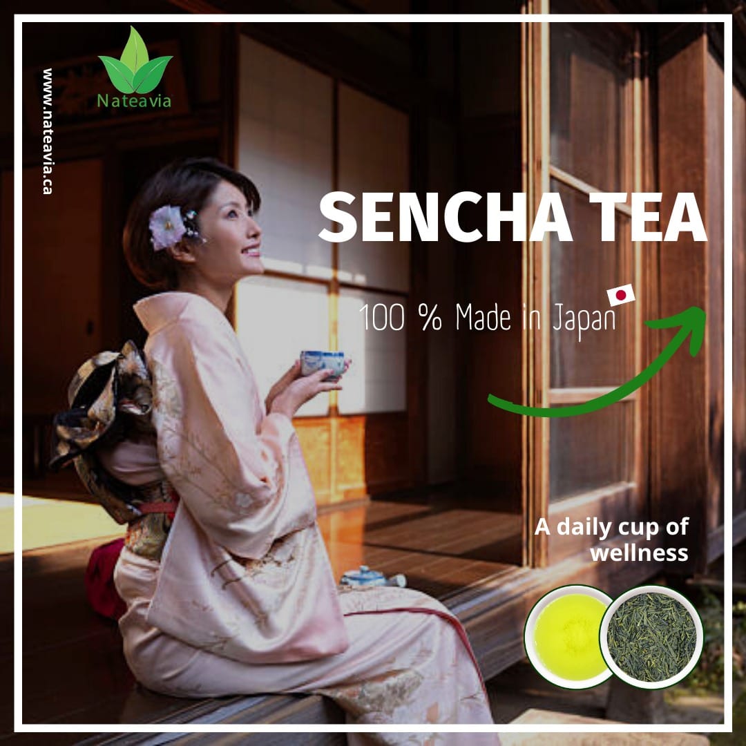 Nateavia Sencha Yabukita - Organic Japanese Loose Leaf Green Tea - First Flush - Authentic Japanese Origin, from Shizuoka - 80g